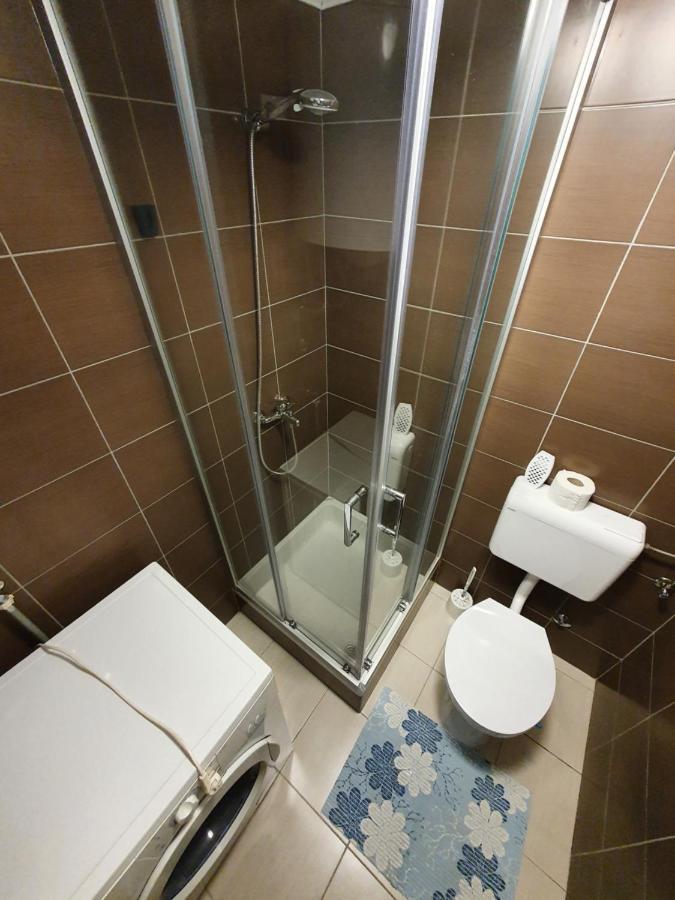 Apartments Dario 洛瓦尼斯卡 外观 照片